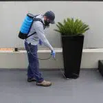Tompest control
