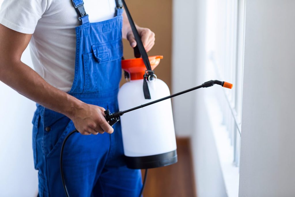 professional pest control