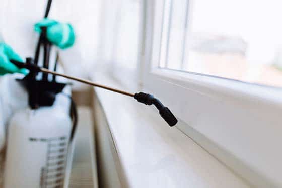Spraying window