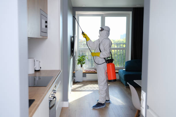 termite treatment canberra