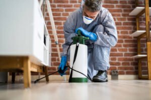 commercial pest control canberra