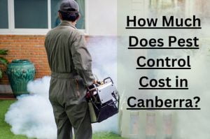 Pest Control Cost in Canberra