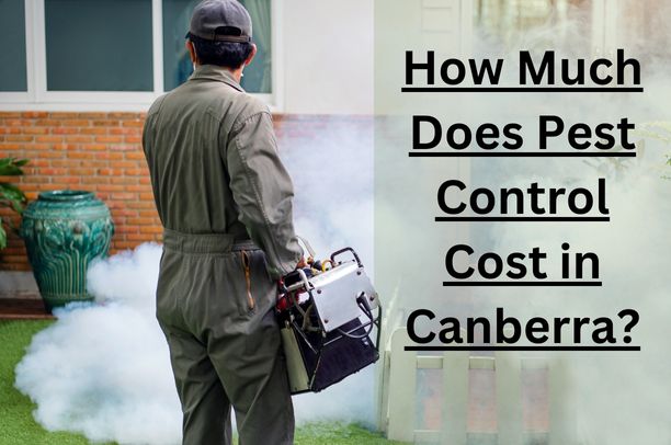 Pest Control Cost in Canberra