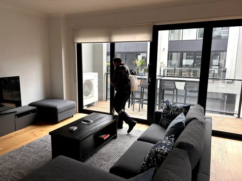 Annual Pest Control Services In Canberra