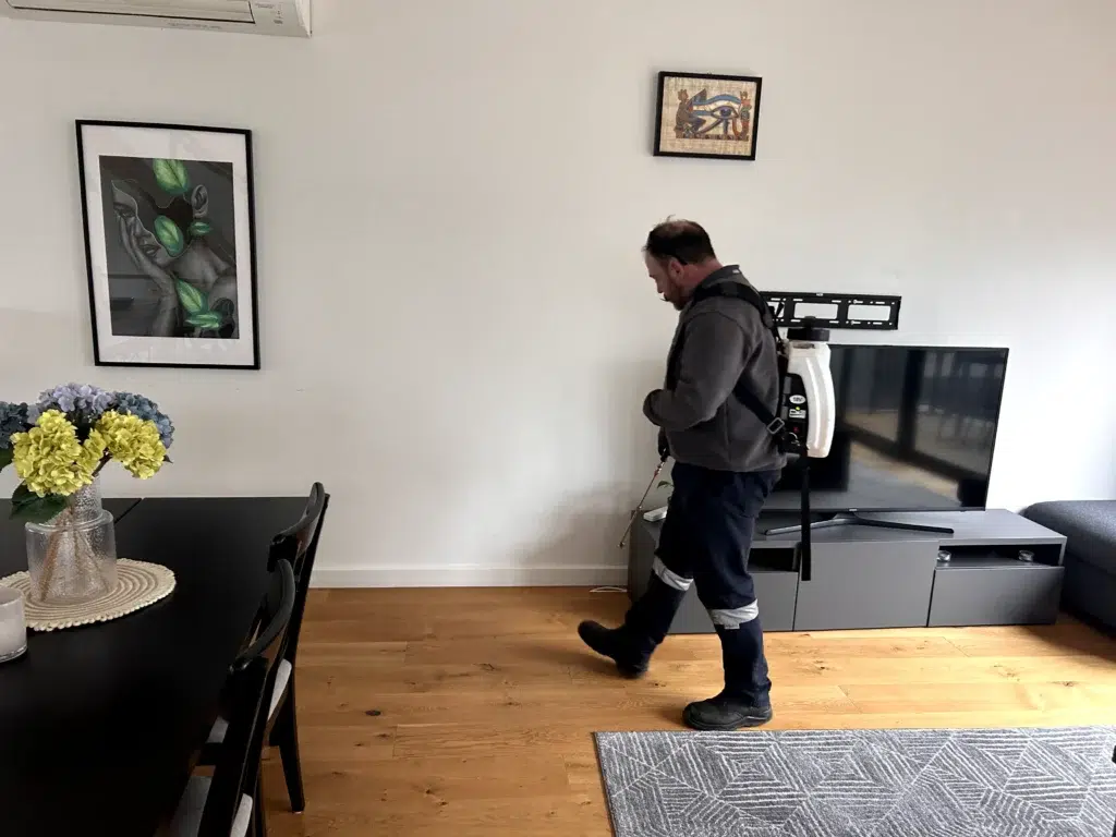Annual Timber and Property Pest Inspections