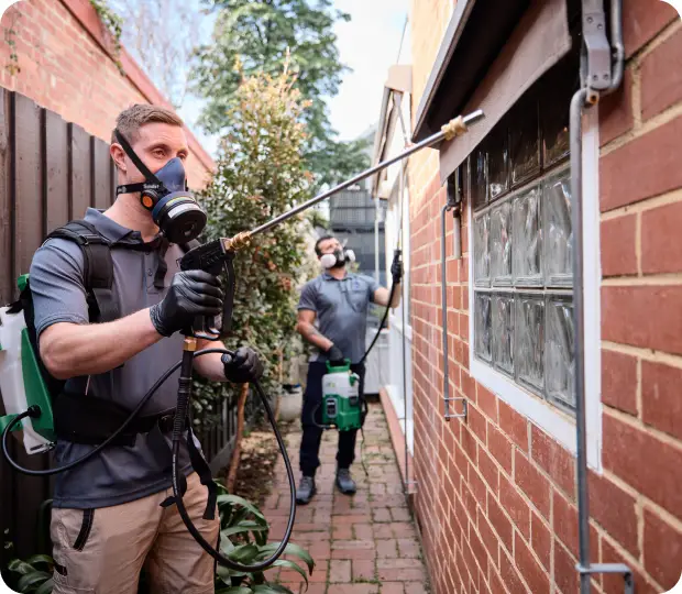 Canberra Pest Control experts