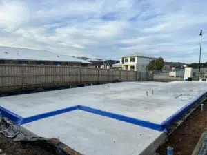 Pre-Purchase Termite Treatment