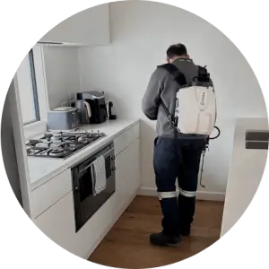 Same Day Pest Control