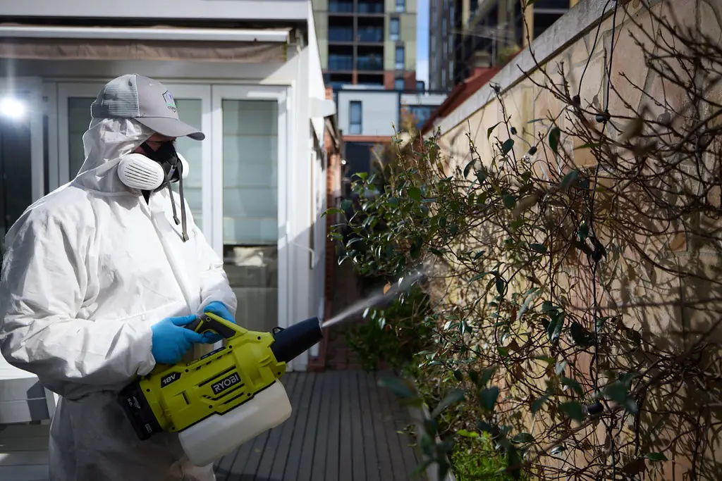 General Pest Control Services in Canberra
