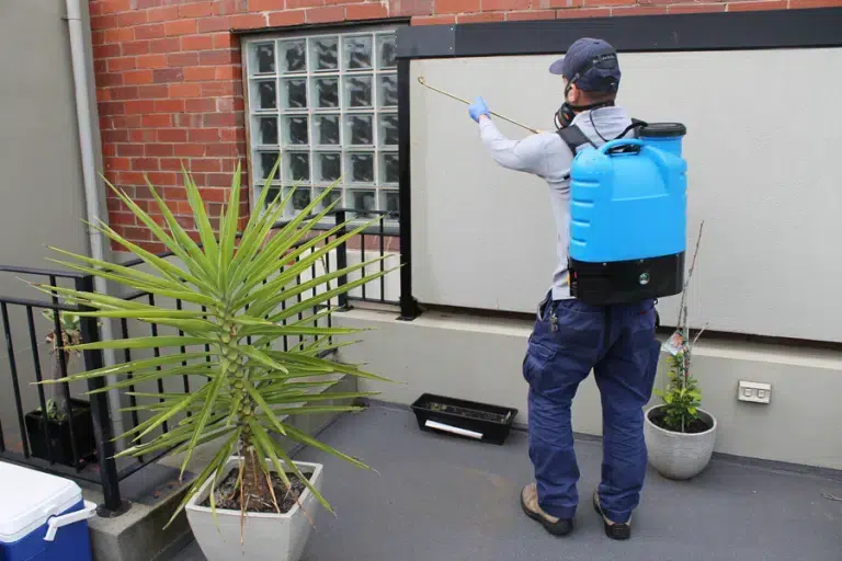 affordable Building Inspection Services