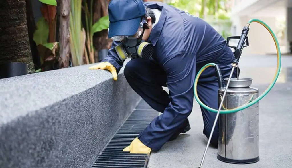 Rodent Control Moncrieff