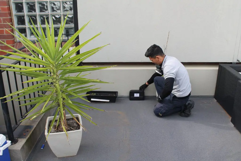 Termite Pest Control Casey