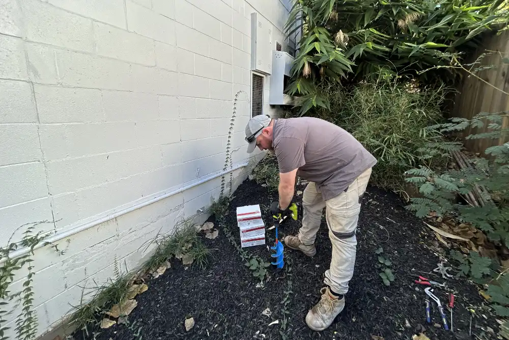 Annual Termite Inspection Specialists in Canberra