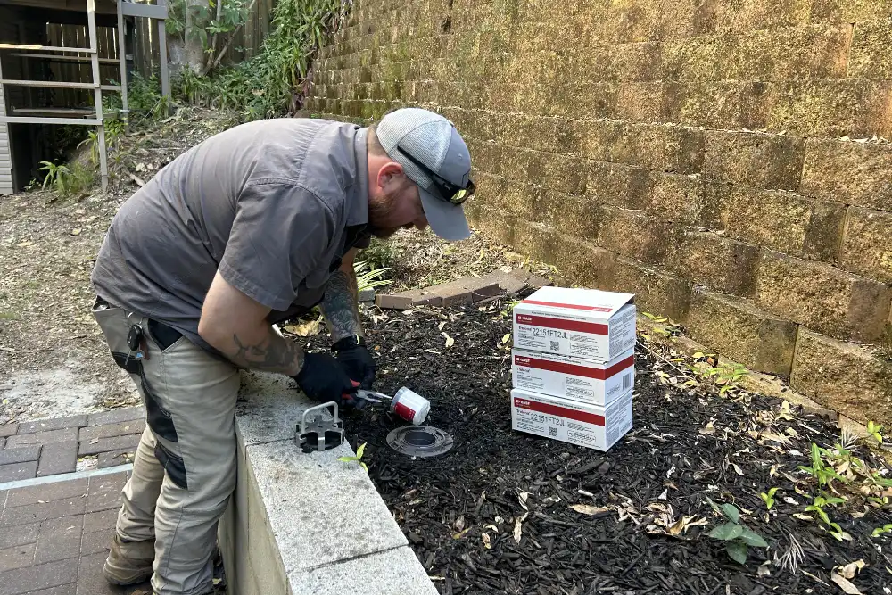 Customised White Ant Treatment Plan