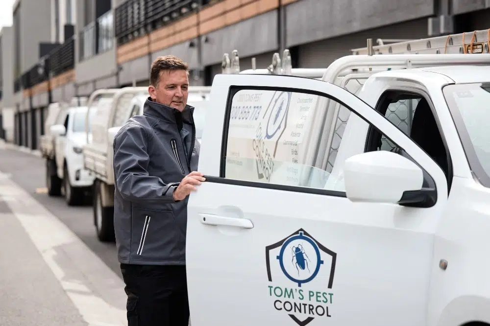 pest control