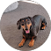 google review by Ben Nimmo