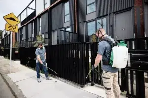 End of Lease Pest Control - Why It’s Essential for Tenants and Landlords