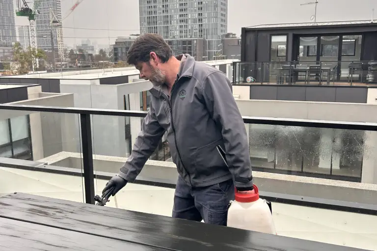 Building and Pest Inspection