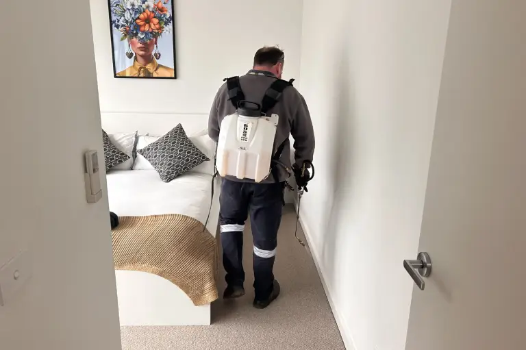 Cafe Pest Control Canberra