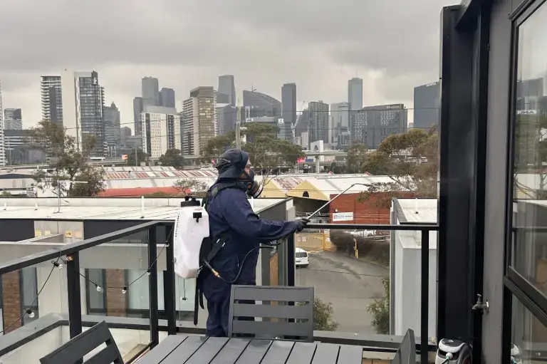 Pest Inspection Specialists