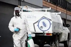 Pre Purchase Building And Pest Inspection Services in Canberra