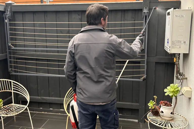 affordable Building Inspection Services
