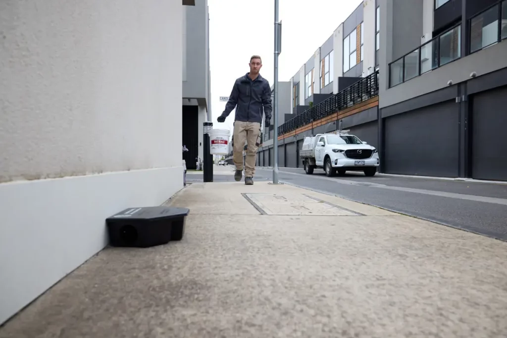 Pest Control Guide for Canberra Homes