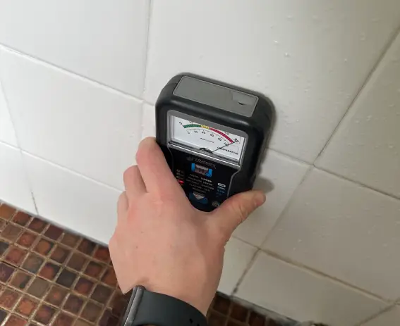 Termite Inspection Canberra