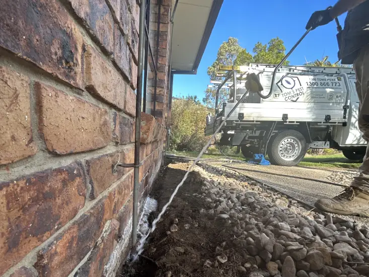 What You Should Know About Termite Reticulation Systems