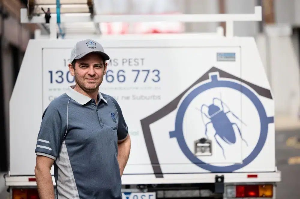 toms pest control canberra for pest inspection