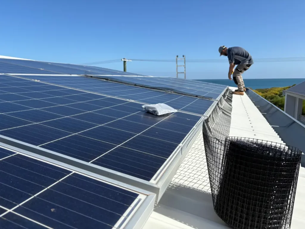 Solar Panel Bird Proofing: Top Mesh Solutions for Canberra Homes