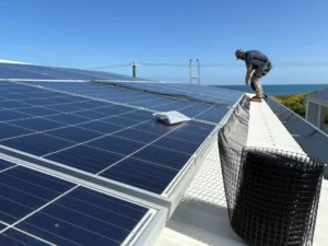 Solar Panel Bird Proofing: Top Mesh Solutions for Canberra Homes