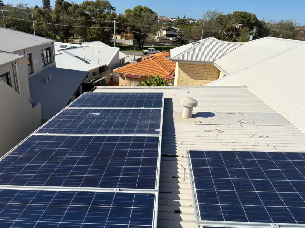 Best Ways to Protect Solar Panels from Birds in Canberra