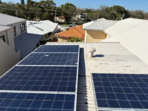 Best Ways to Protect Solar Panels from Birds in Canberra