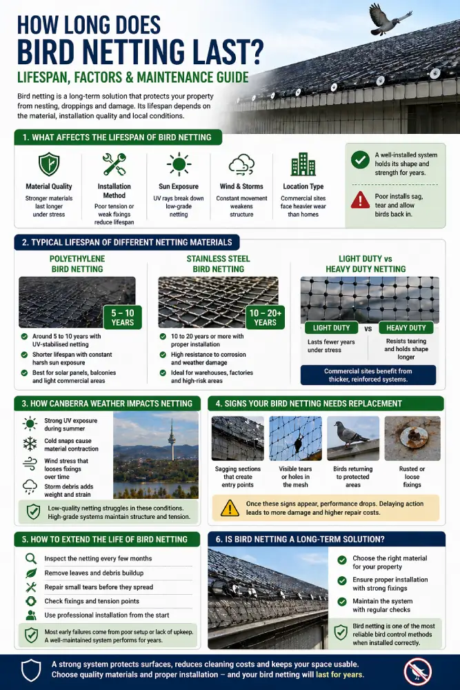 How Long Does Bird Netting Last, Lifespan, Materials and Maintenance