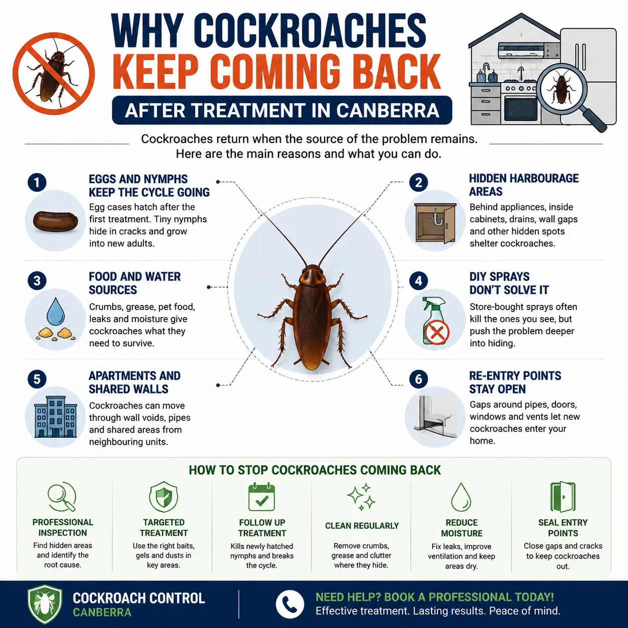 Why Cockroaches Keep Coming Back After Treatment in Canberra