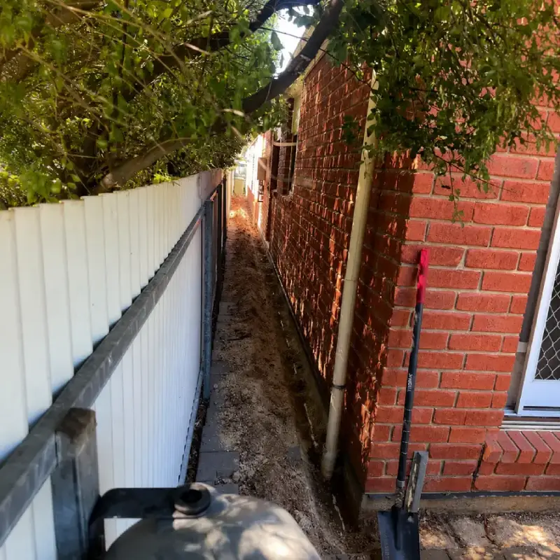 Factors That Affect Termite Treatment Cost in Canberra