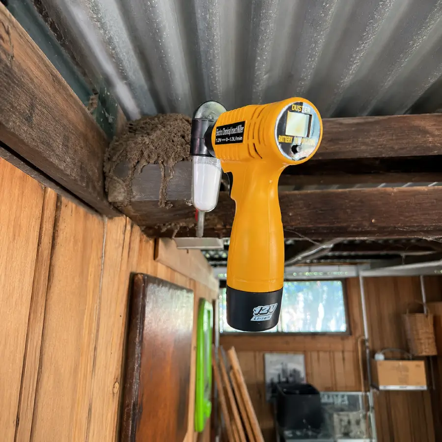 How to Compare Termite Treatment Quotes