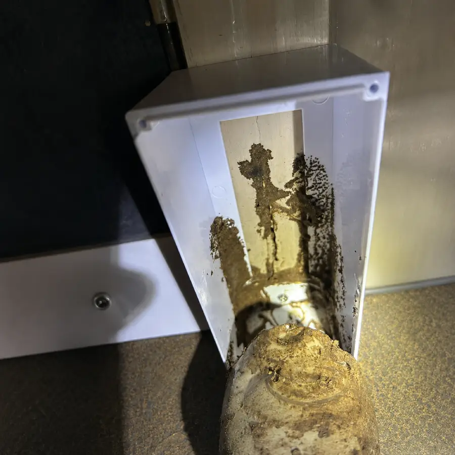Termite Baiting System Cost