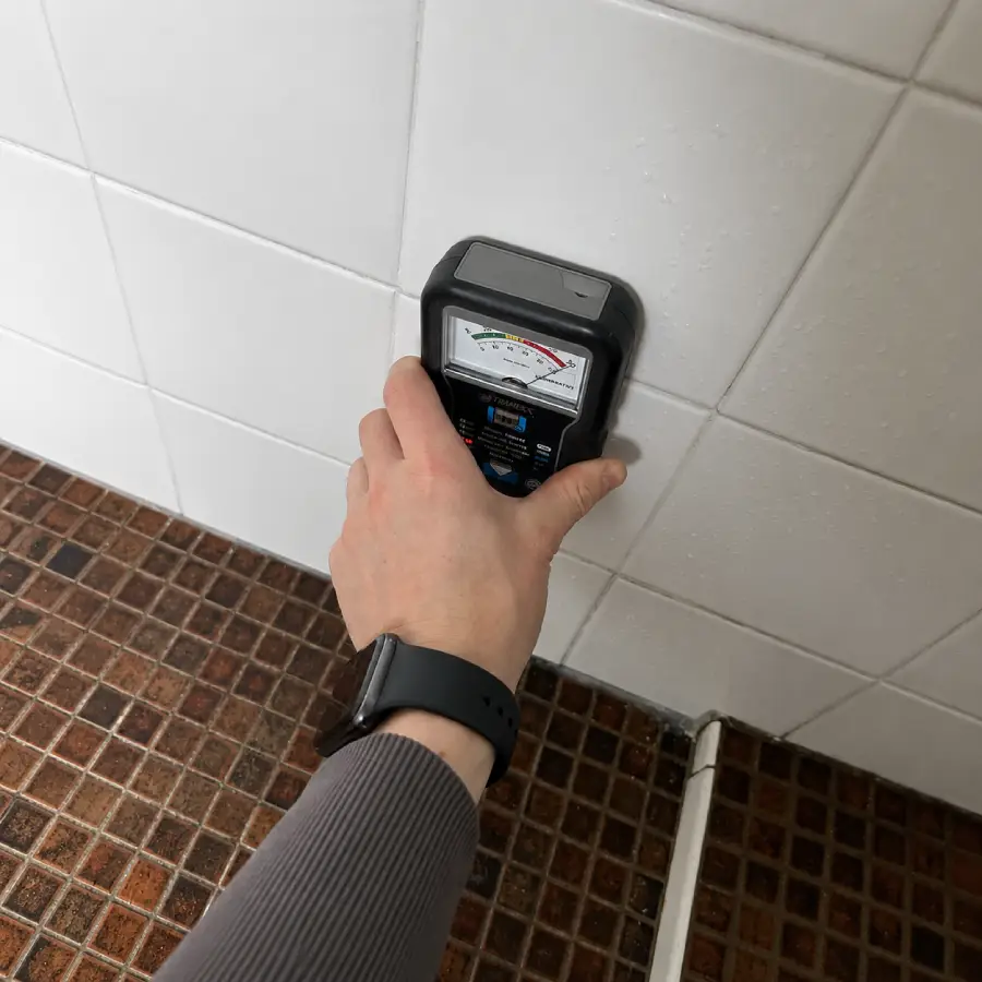 Termite Inspection Cost Canberra
