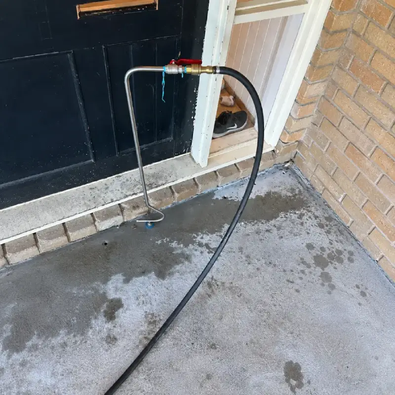 Whole-House Treatment Cost